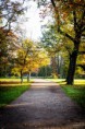 /album/galleria-foto-galleria-fotografica/autunno-nel-parco-di-monza-jpg/